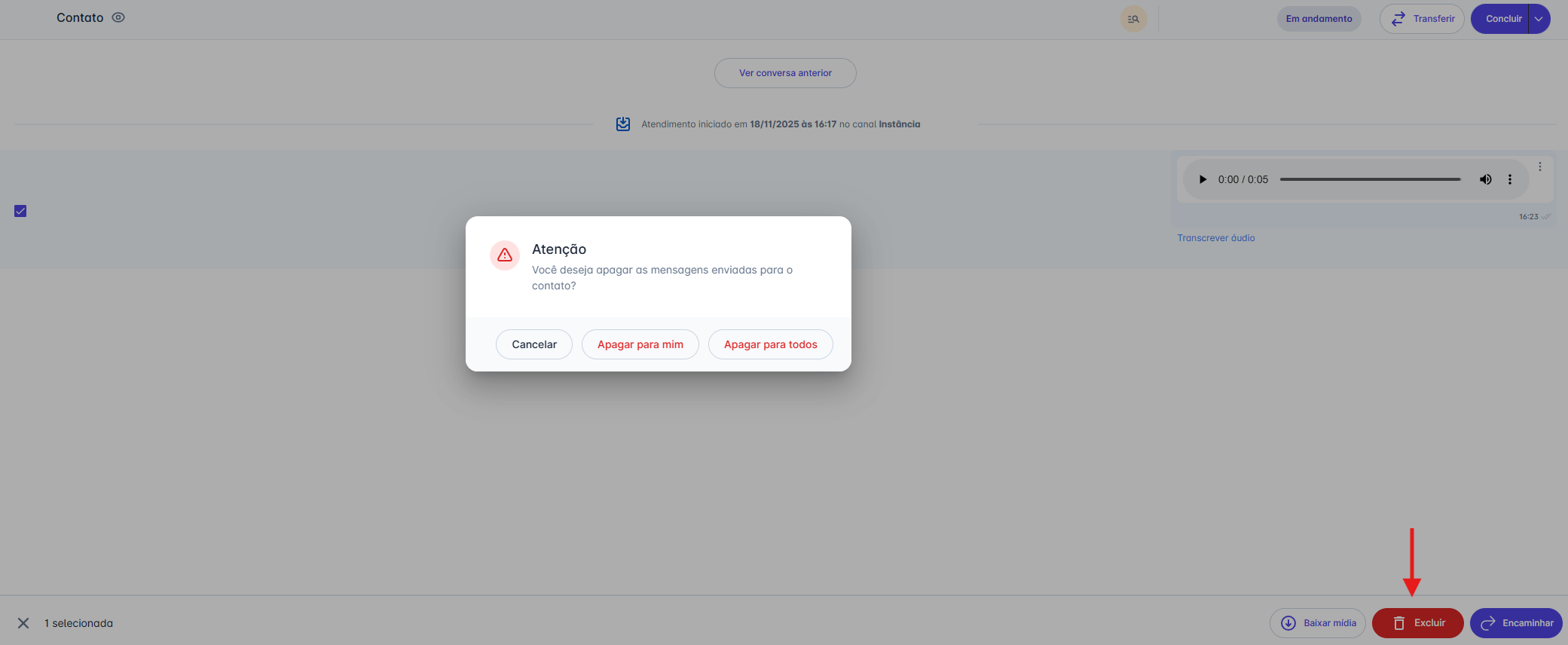 Opções de exclusão