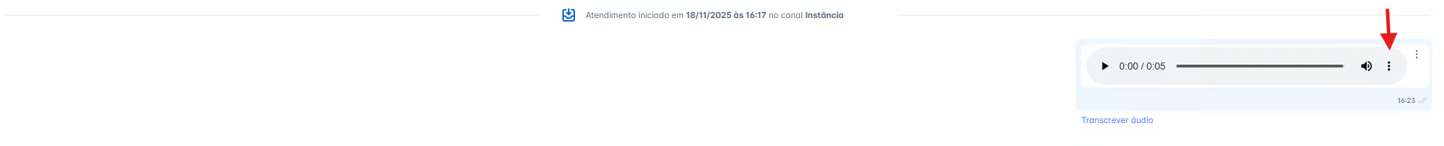 Menu de opções do áudio