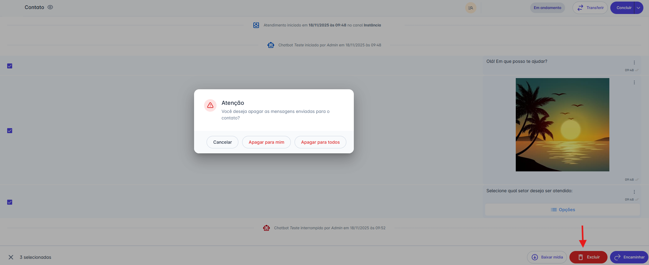 Opções de exclusão