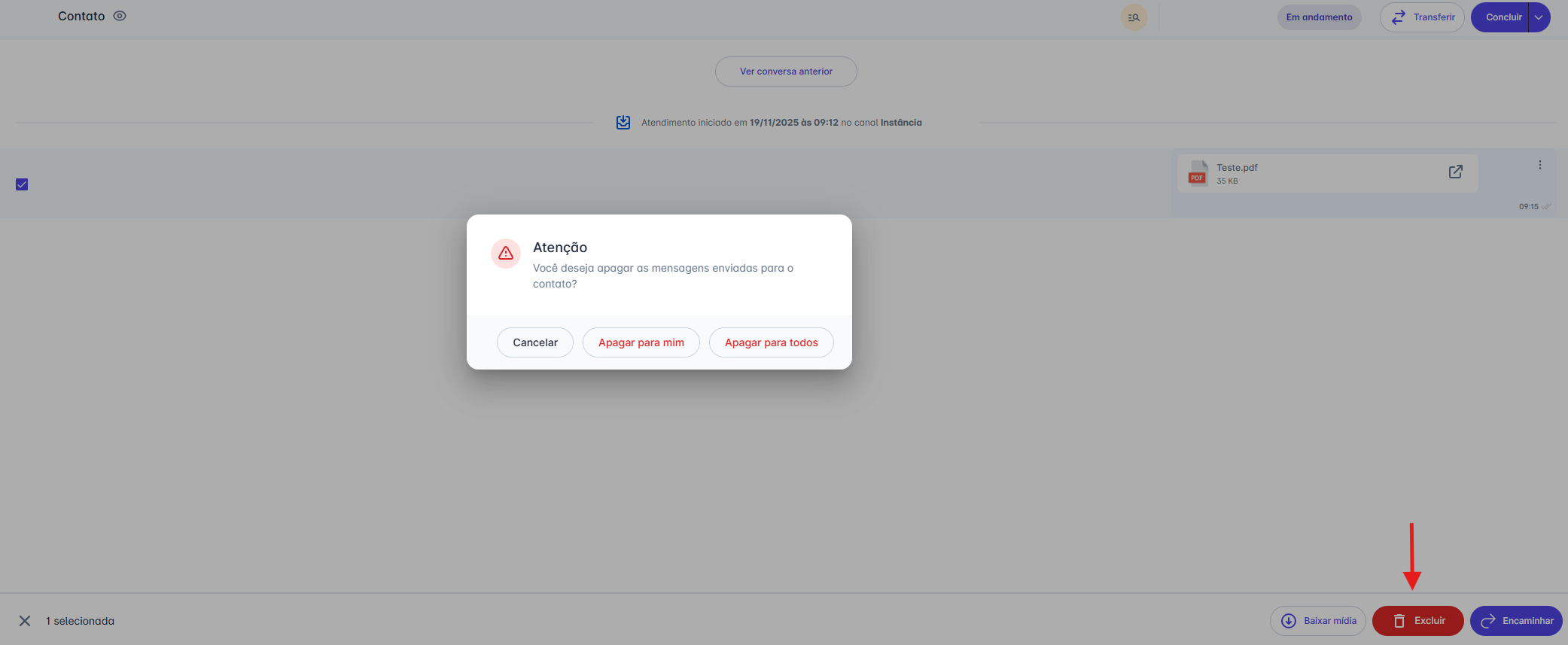 Opções de exclusão
