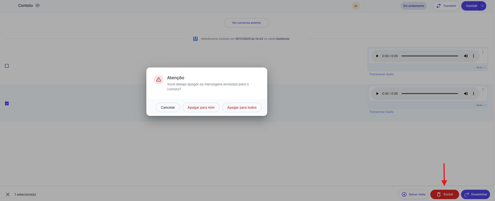 Opções de exclusão