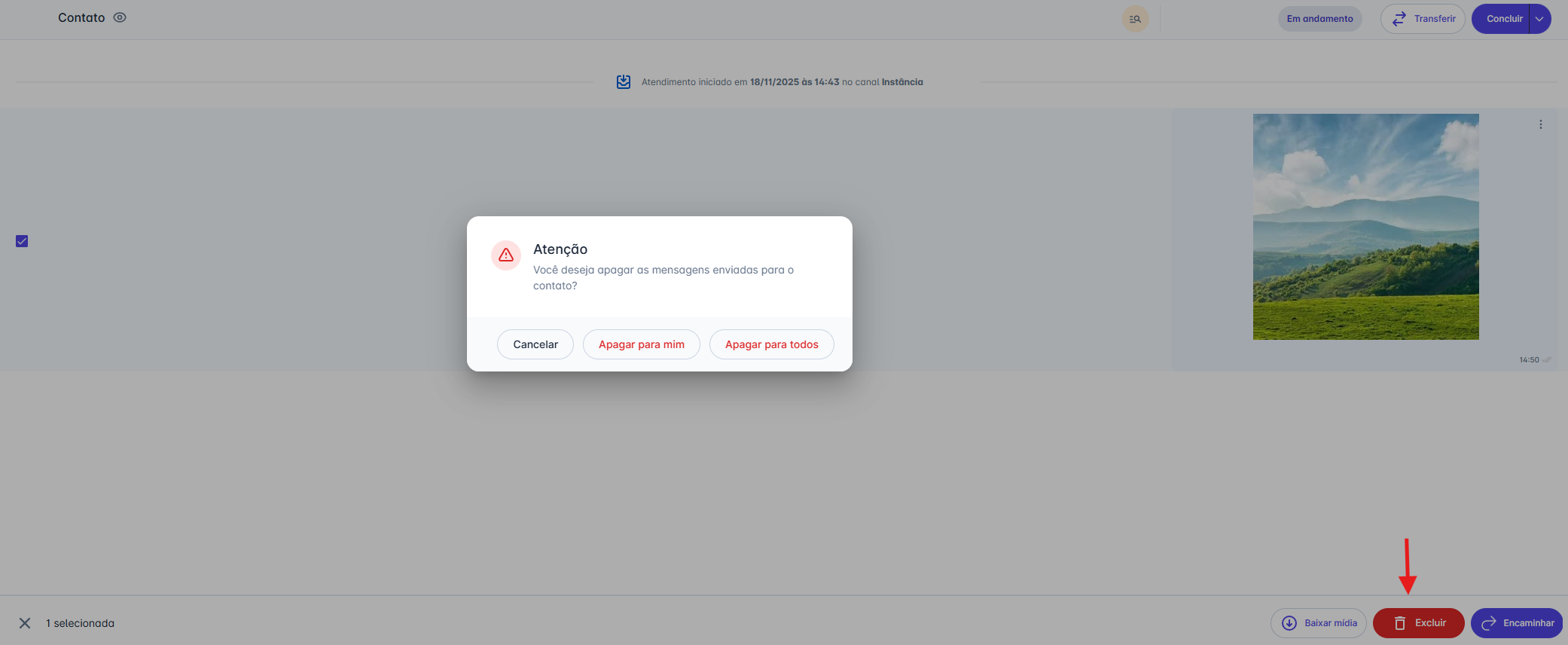 Opções de exclusão