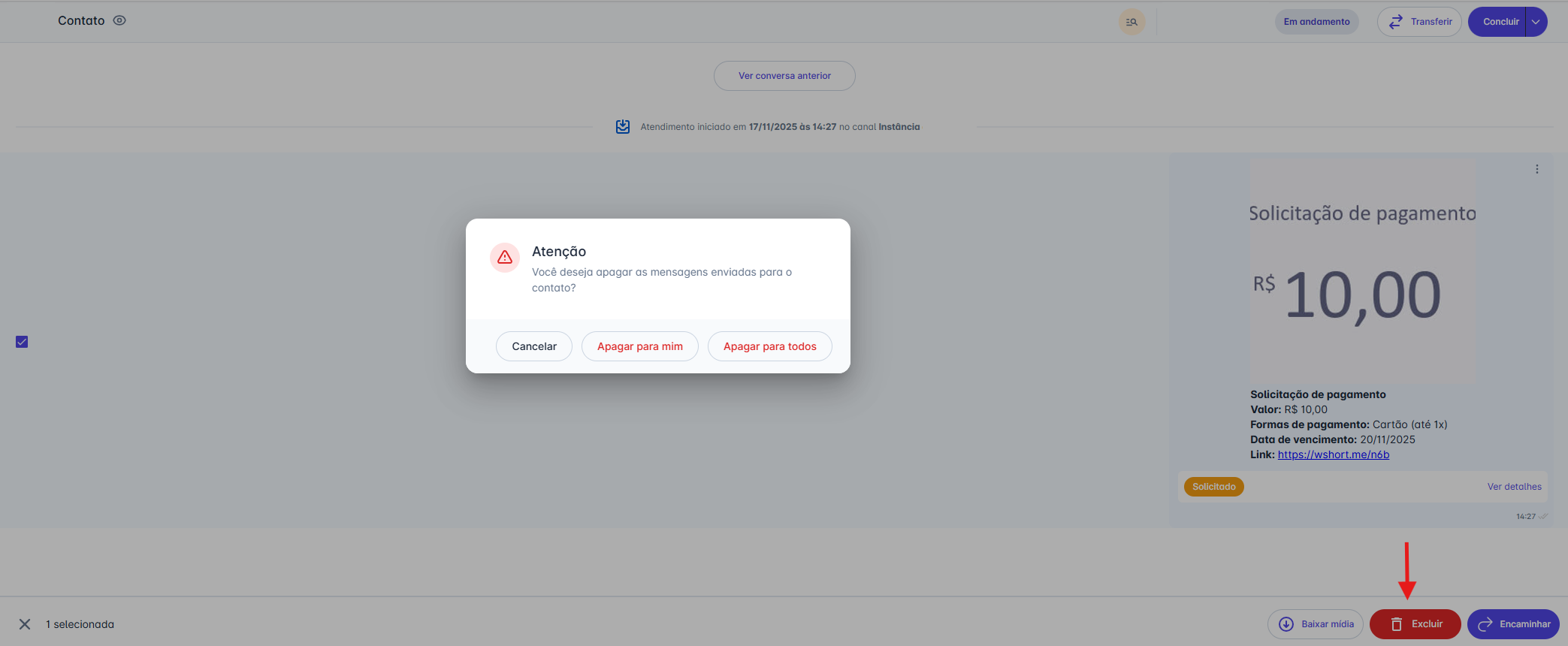 Opções de exclusão