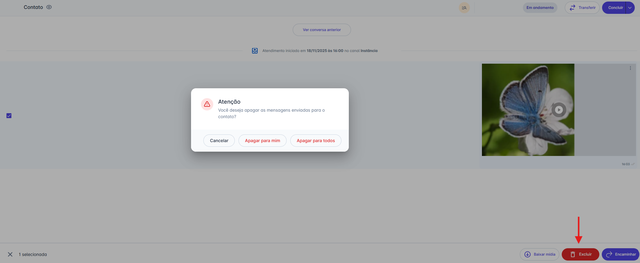 Opções de exclusão
