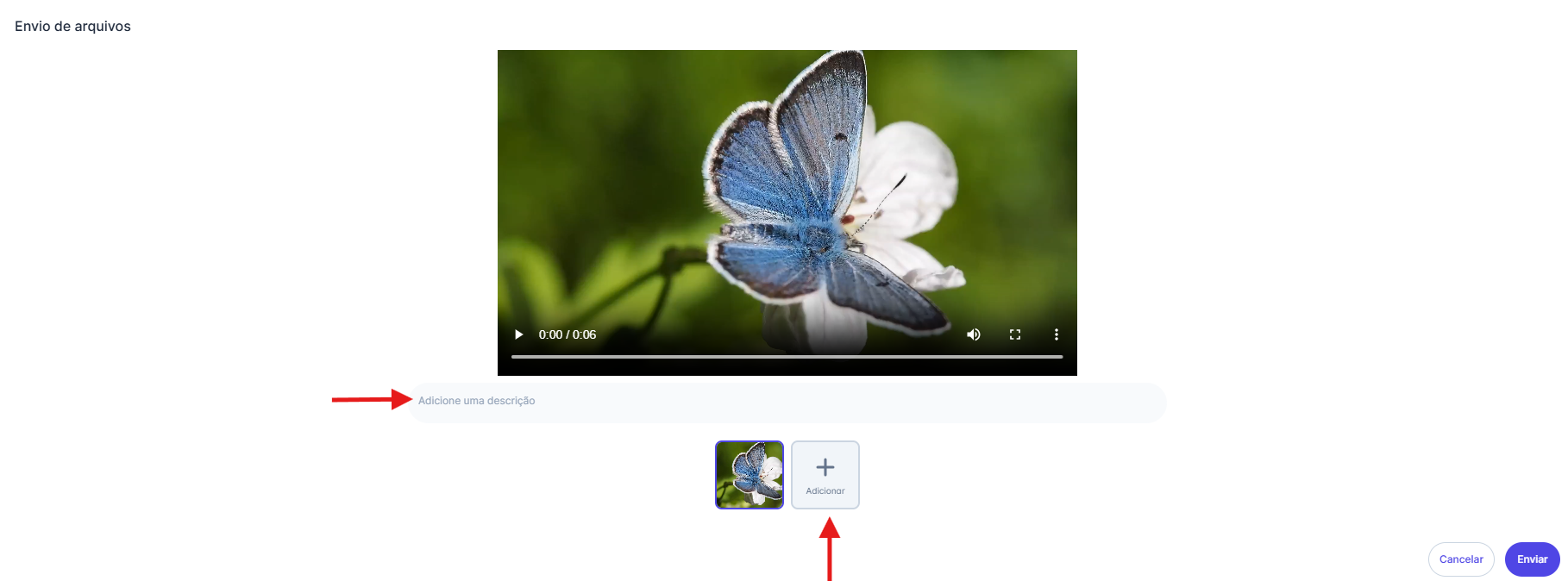 Pré-visualização do vídeo